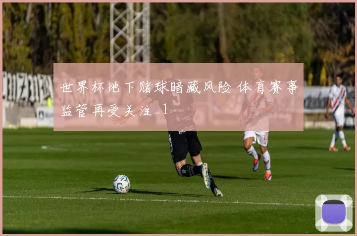 世界杯地下赌球暗藏风险 体育赛事监管再受关注_1