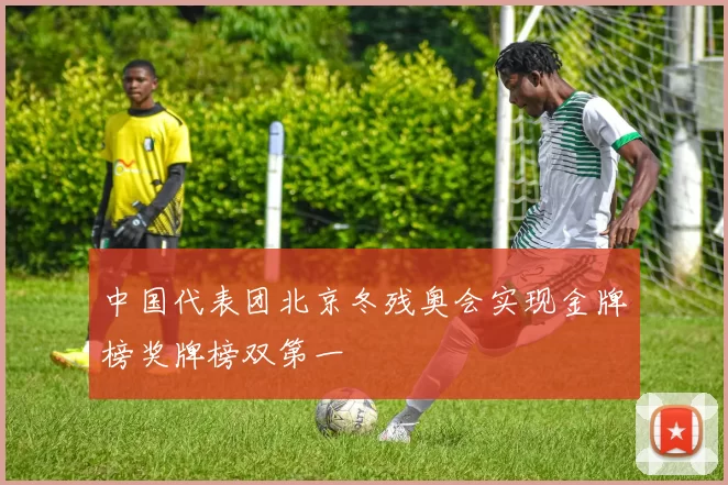 中国代表团北京冬残奥会实现金牌榜奖牌榜双第一