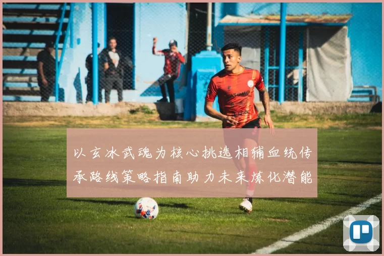 以玄冰武魂为核心挑选相辅血统传承路线策略指南助力未来炼化潜能